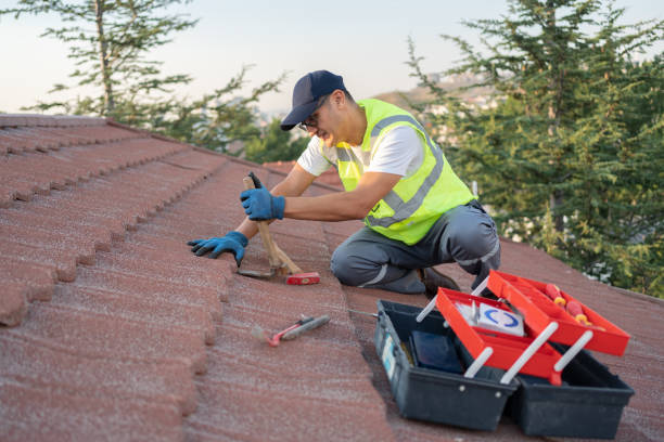 Best Storm Damage Roof Repair  in Pumpkin Center, NC